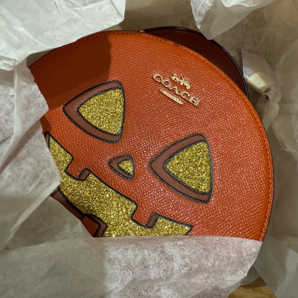 🎃Canteen Crossbody Bag With Halloween Pumpkin Print - Picture 7 of 14